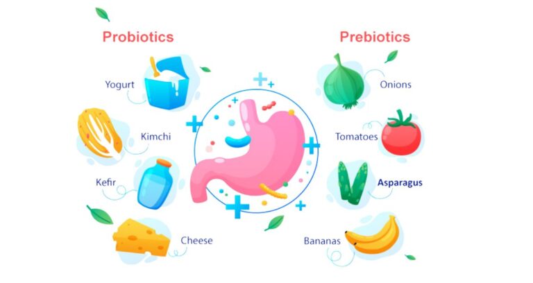 Prebiotics vs. Probiotics: What’s the Difference and Why You Need Both?